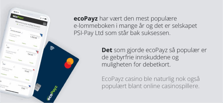 hva er ecopayz