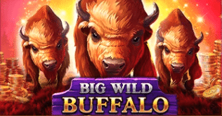 Big Wild Buffalo-bitspincasino