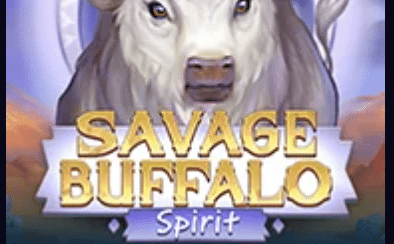 Savage buffalo spill