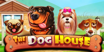 The Dog House